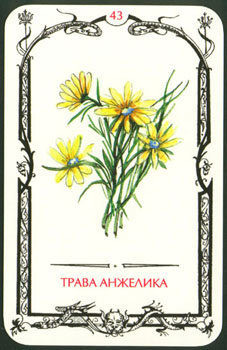 Card43.jpg