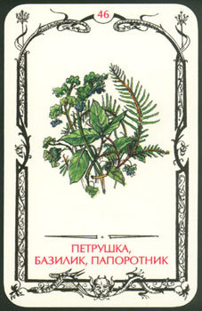 Card46.jpg