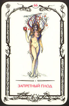 Card66.jpg