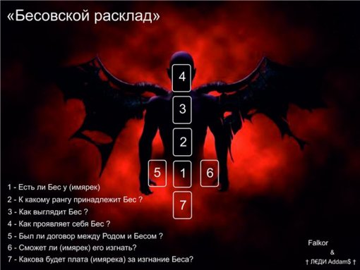 2884dvd.jpg