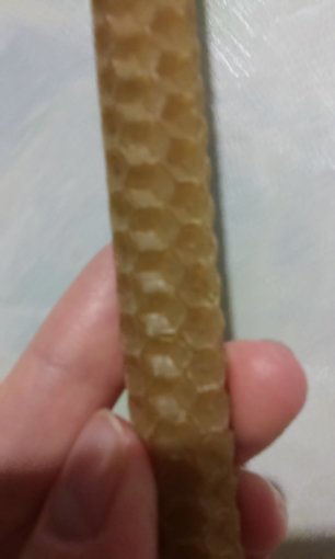 20190404_050722.jpg