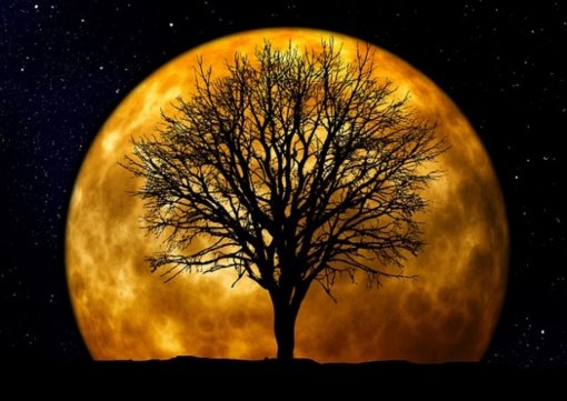 дни магии.jpg дни магии.jpg