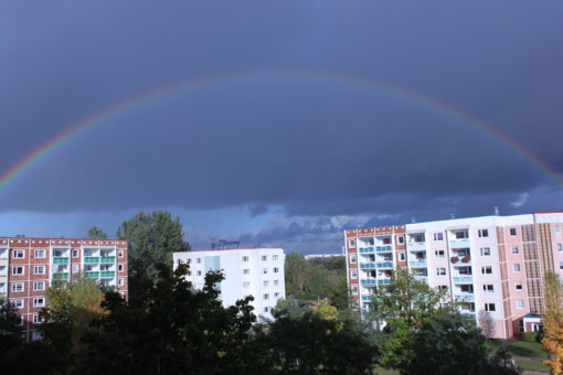 IMG_2734.JPG