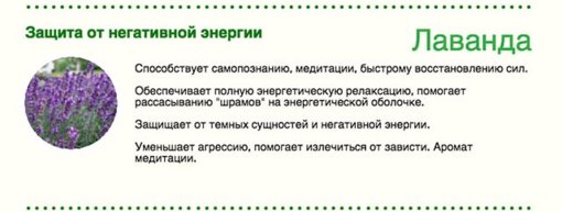 clear-energy-08 — копия (3).jpg