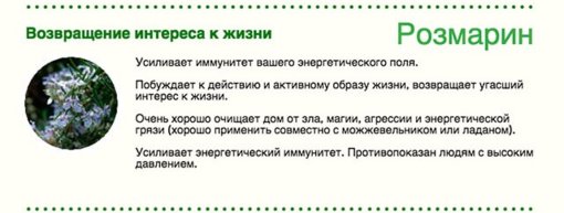 clear-energy-08 — копия (6).jpg