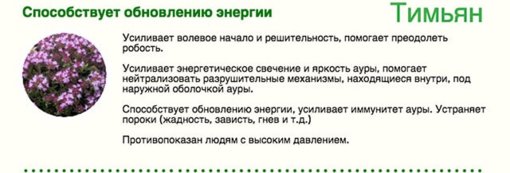clear-energy-08 — копия (7).jpg