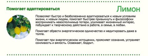 clear-energy-08 — копия (8).jpg