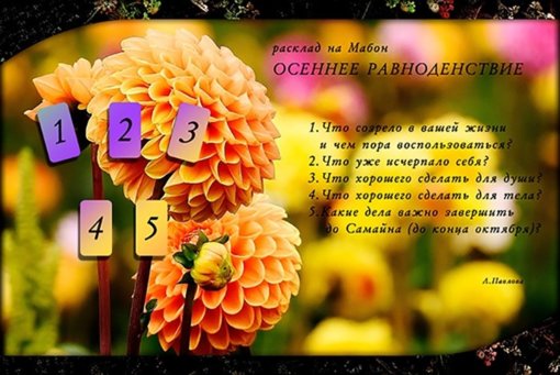 70629452_2395165250591655_3317448781133250560_n.jpg 70629452_2395165250591655_3317448781133250560_n.jpg