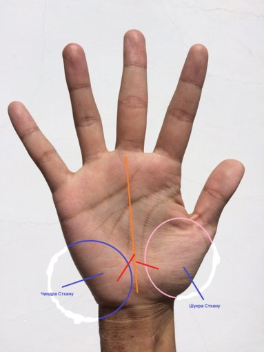 hand-1701989_1280.jpg
