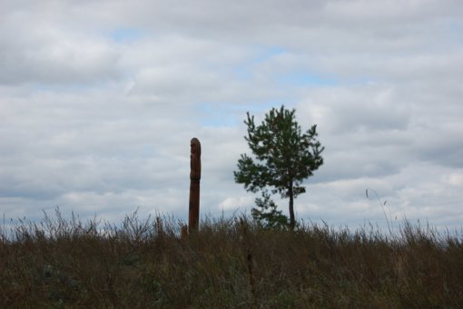 MSE1GTzp4VY.jpg