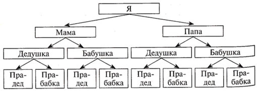 45(3).jpg 45(3).jpg