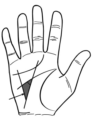 1578474681689.png