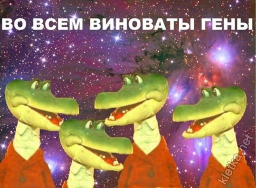 oZq8nSnQQjw.jpg