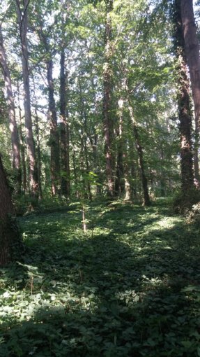 20190718_101537.jpg