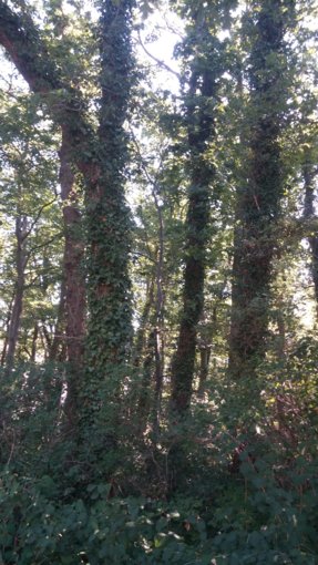 20190718_100332.jpg