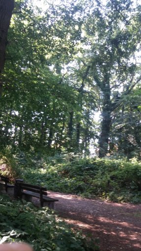 20190718_101314.jpg