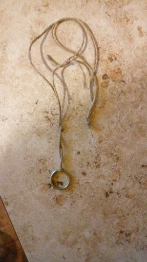 IMG_20200708_064711.jpg