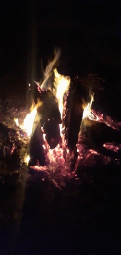 20200801_224657.jpg 20200801_224657.jpg