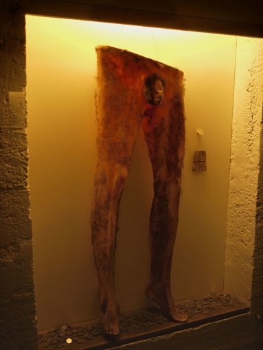 Necropants_in_Iceland_exhibit.jpg Necropants_in_Iceland_exhibit.jpg