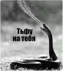 FB_IMG_1601572033093.jpg