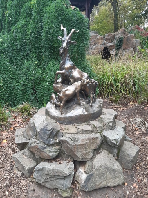 20201016_134113.jpg