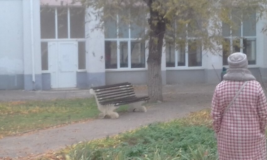 20201201_125912.jpg