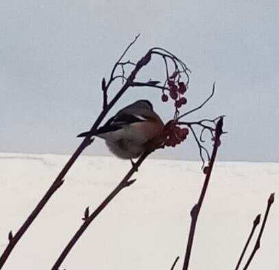 20210219_220543.jpg 20210219_220543.jpg