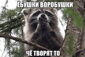 1617447792948.png 1617447792948.png