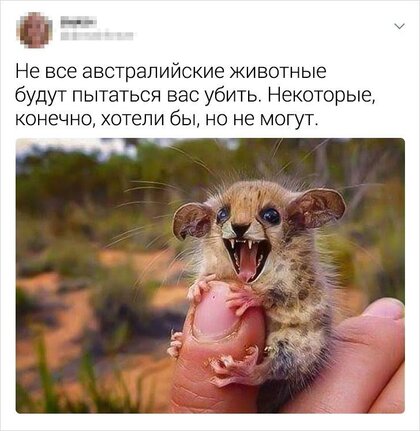 C32108E4-1FBE-4B36-B29B-58185536C7FB-1405-0000013043EB65B6.jpg