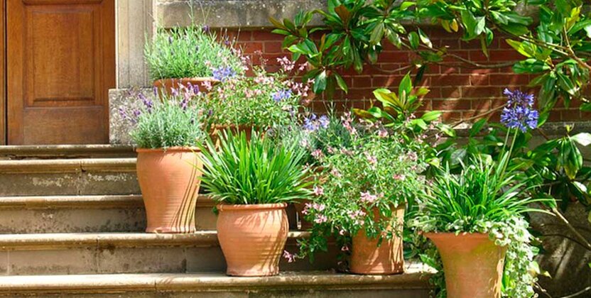 flower_pots.jpg