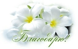 1636992891118.png