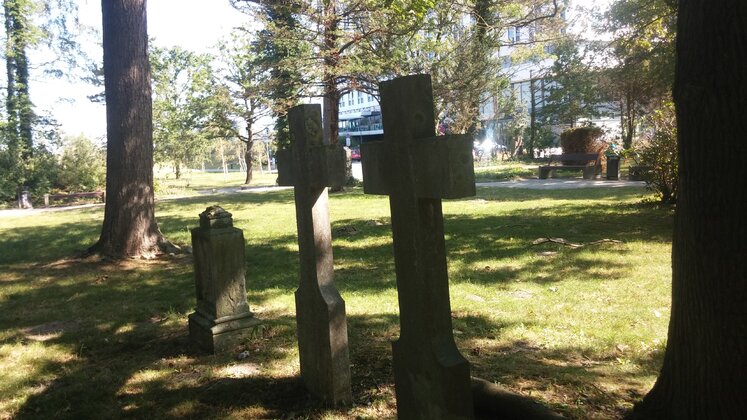 20190718_101849.jpg