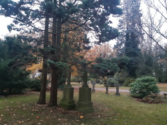 20211116_155400.jpg