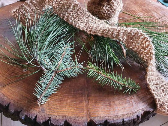 изображение_viber_2021-12-23_08-27-56-920.jpg