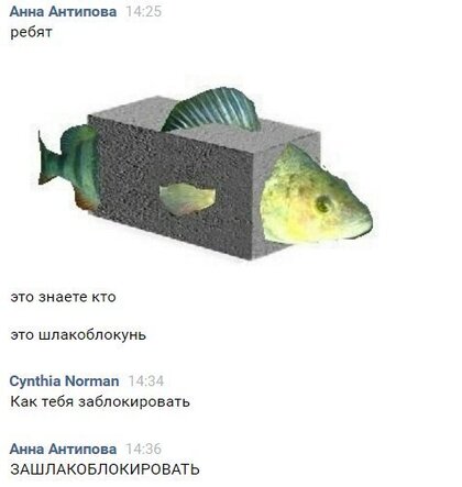 шлакоблокировать.jpg