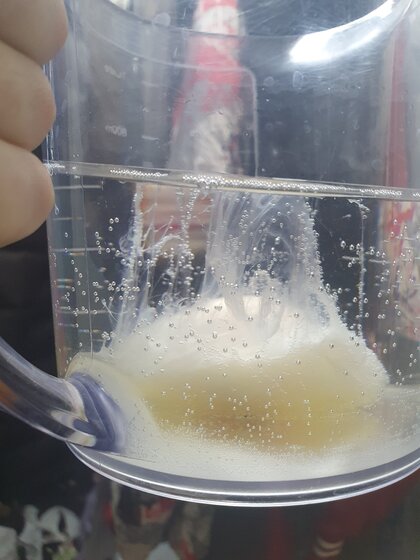 20220131_064501.jpg