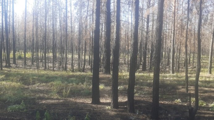 20221009_164457.jpg 20221009_164457.jpg