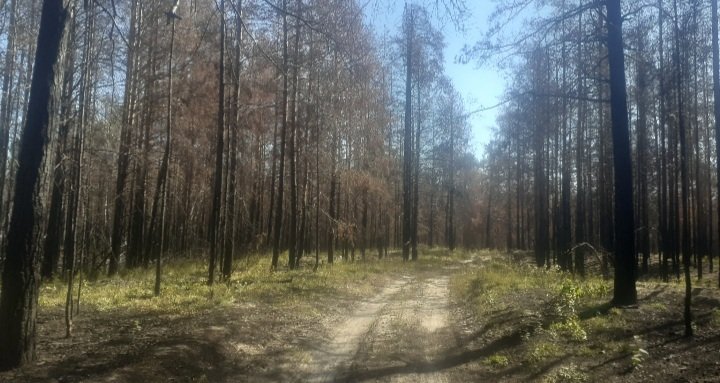20221009_164437.jpg 20221009_164437.jpg