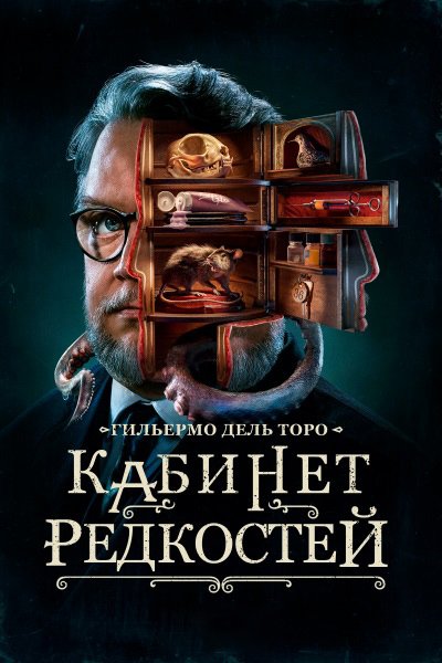 кабинет редкостей.jpg