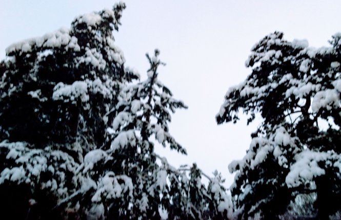 20221115_082544~2.jpg 20221115_082544~2.jpg