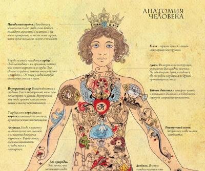 оккульт анатомия.jpg