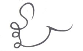1693851696582.png