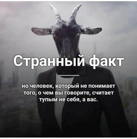 2cd7282fe26da5c6bec7849d1231019a.jpg