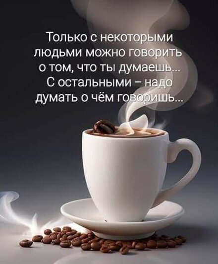 FB_IMG_1701664046592.jpg