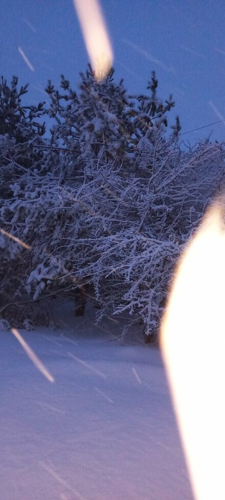 20231231_080149.jpg
