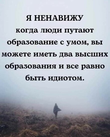 FB_IMG_1707672162251.jpg