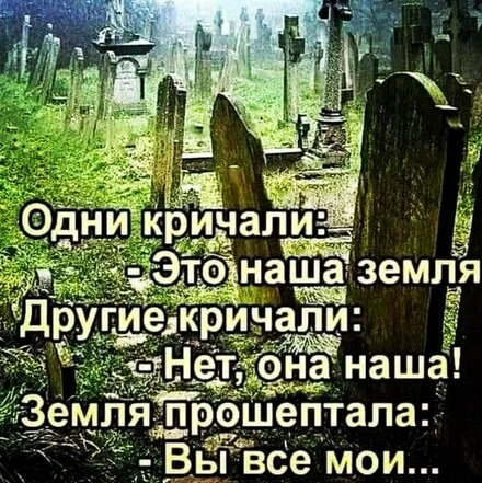 IMG_20240328_164352.jpg
