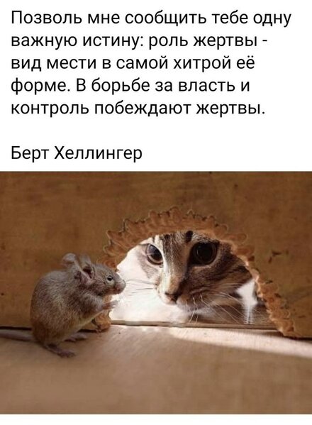 1000009867.jpg