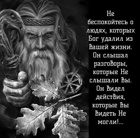 a286b24aea375837b1aa889b8c4b478f.jpg