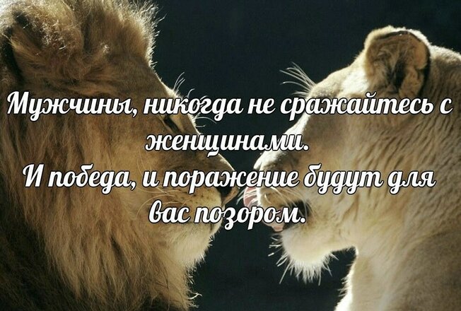 1000009967.jpg